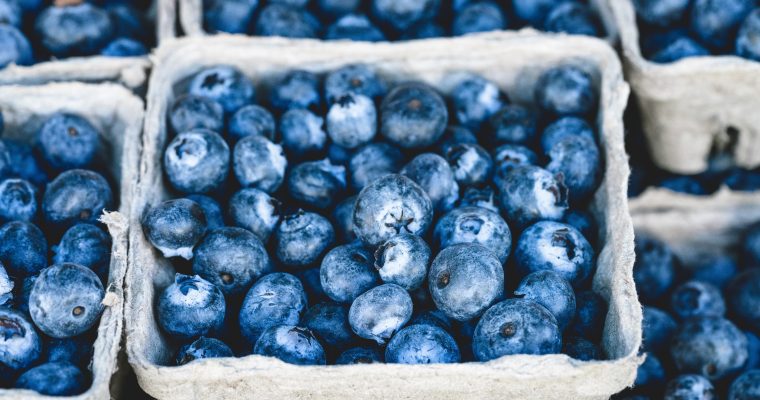 Heidelbeeren – kleine Vitaminbomben