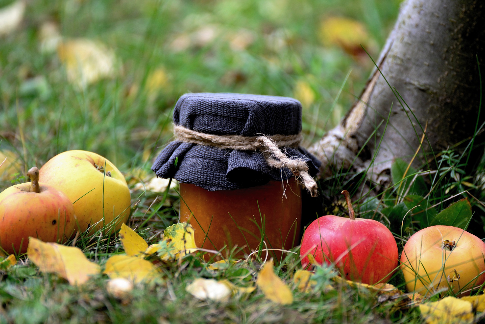 Apfel-Ingwer Marmelade