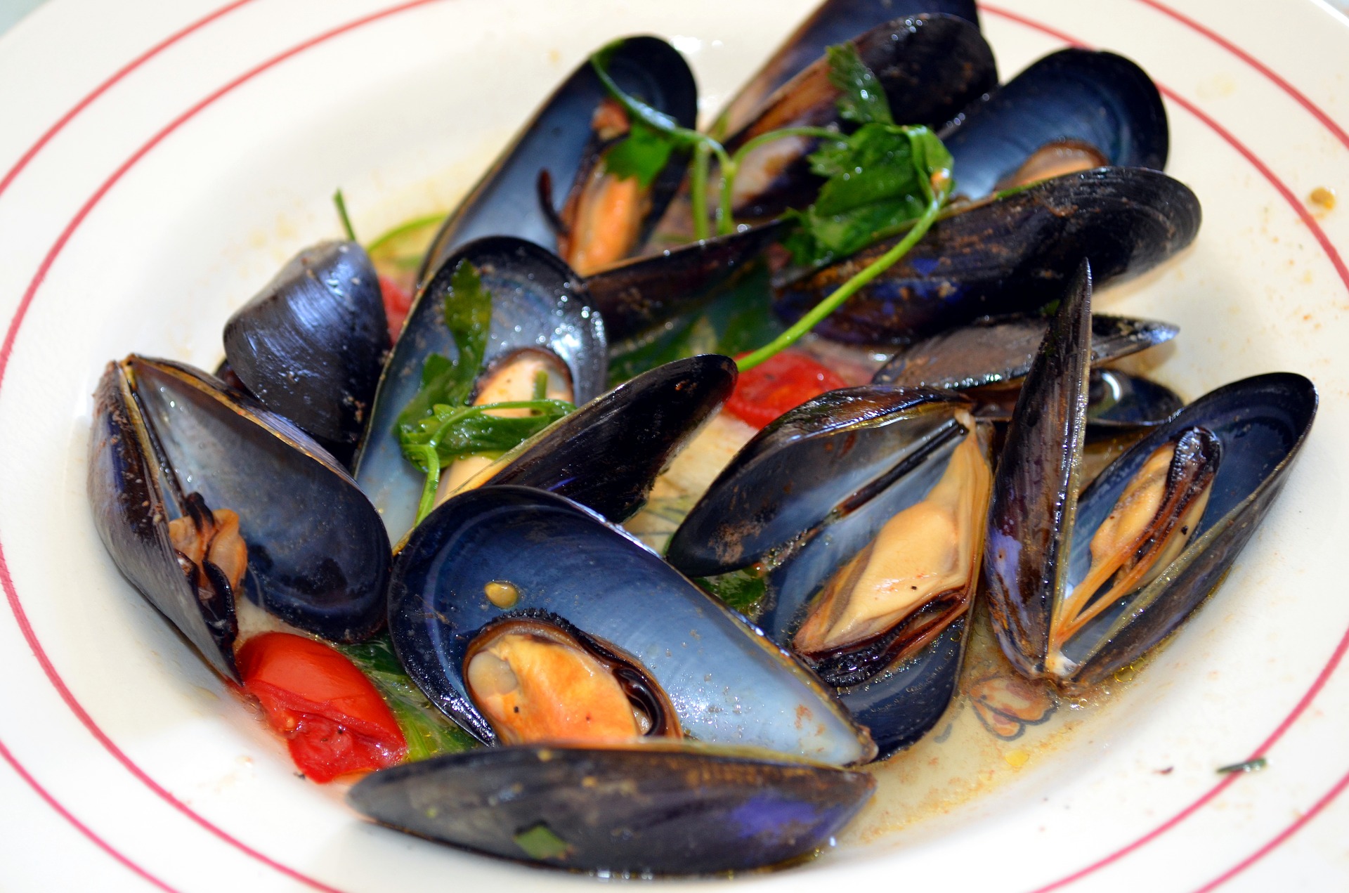 Miesmuscheln in Tomatensoße auf italienische Art